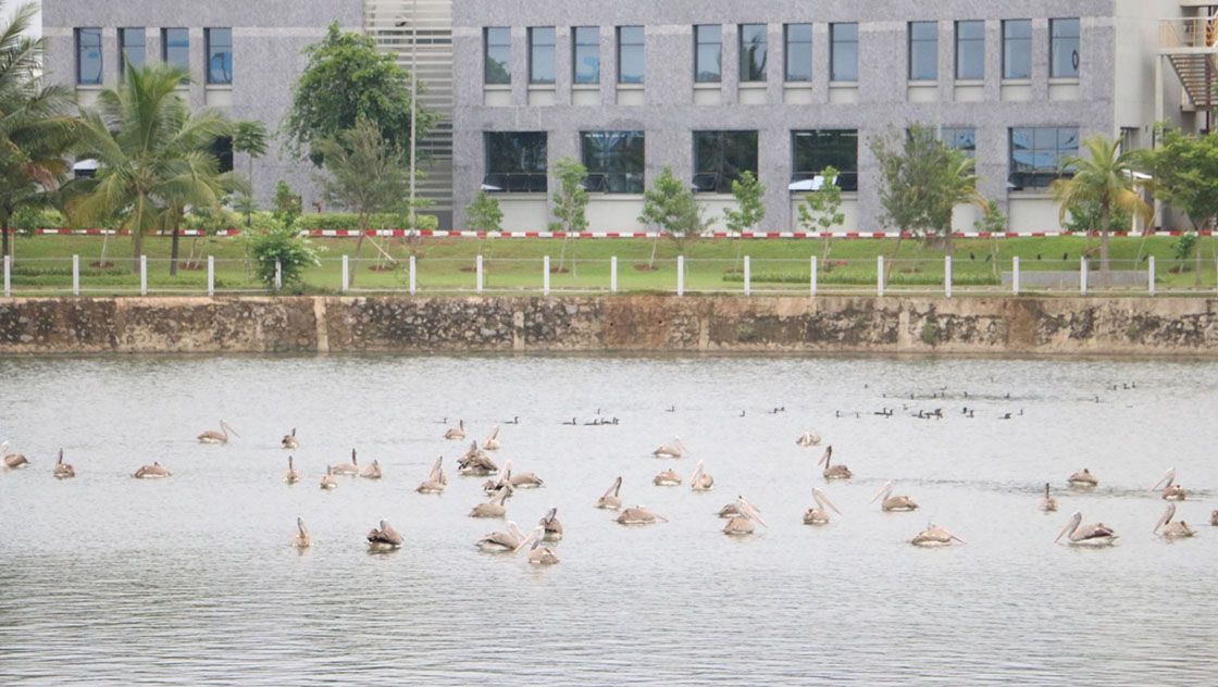 dicv-quadruples-its-global-standards-iso